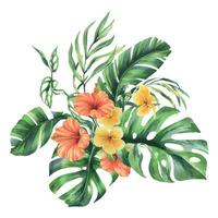 tropisk handflatan löv, monstera och blommor av plumeria, hibiskus, ljus saftig. hand dragen vattenfärg botanisk illustration. sammansättning isolerat från de bakgrund vektor