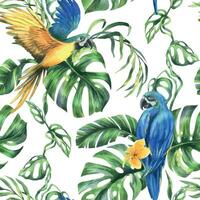tropisk handflatan löv, monstera och blommor av plumeria, hibiskus, ljus saftig med blå-gul ara papegoja. hand dragen vattenfärg botanisk illustration. sömlös mönster vektor