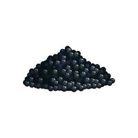 svart kaviar, tecknad serie skaldjur gourmet delikatesser vektor