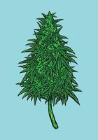 Unkraut Cannabidiol Blatt Pflanzen Illustrationen vektor