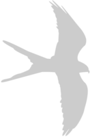 Vogel vektor