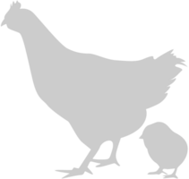 kyckling vektor
