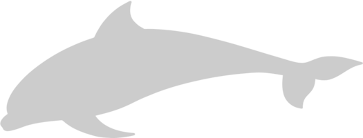 Delfin vektor