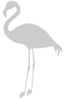 flamingo vektor