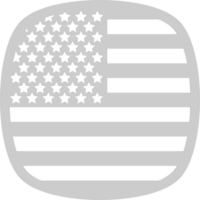 US Flagge vektor