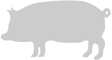 Tier Ursachen Schwein vektor