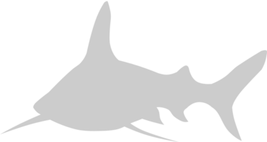 Tier Ursachen Hai vektor