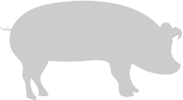 djur- orsaker gris vektor