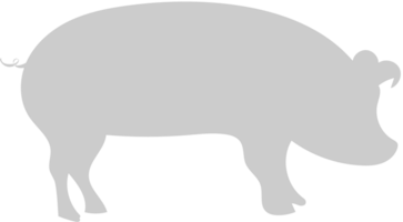 Tier Ursachen Schwein vektor