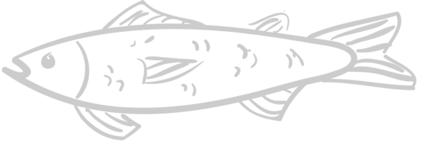 Fisch vektor