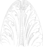 Dekoration Akanthus vektor