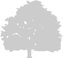 Silhouetten Baum vektor