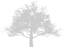 Silhouetten Baum vektor