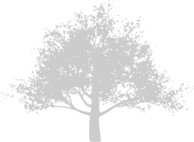 silhuetter träd vektor