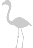 flamingo vektor