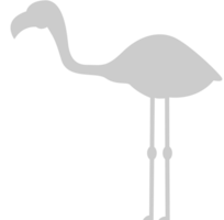 flamingo vektor