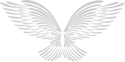 Flügel Engel vektor