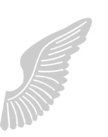 Flügel vektor