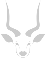 Kudu Kopf vektor