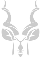 Kudu Kopf vektor