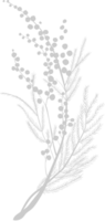 botanisk illustration vektor