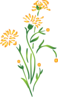 Sommerblume vektor