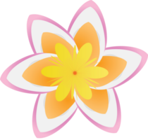polynesisk blomma vektor
