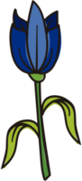 Blume vektor