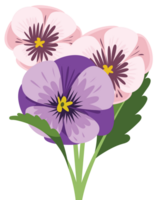 Stiefmütterchen Blume vektor