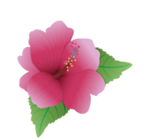 polynesisk blomma vektor