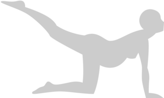 yoga vektor