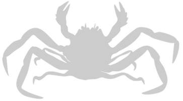 krabba vektor