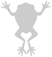 Frosch vektor