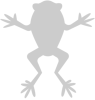 Frosch vektor