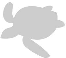 Schildkröte vektor