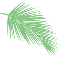 blad palm vektor