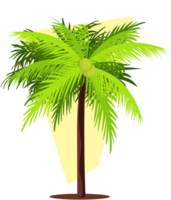Kokosnussbaum vektor