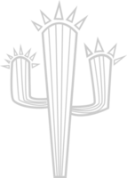 Kaktus vektor