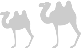 egypten ikon kamel vektor