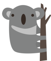 Koala vektor