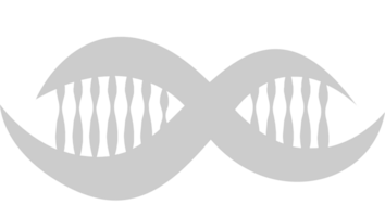 Biologie DNA vektor