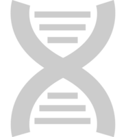 Biologie DNA vektor