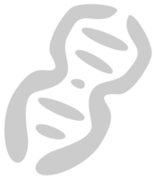 Biologie DNA vektor