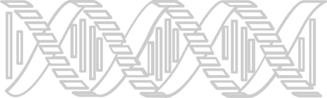 Biologie DNA vektor