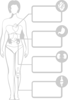 biologi människokroppen vektor