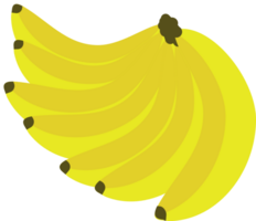 banan vektor