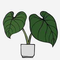 enkelhet philodendron gloriosum krukväxt enkelhet frihandsteckning platt design. vektor