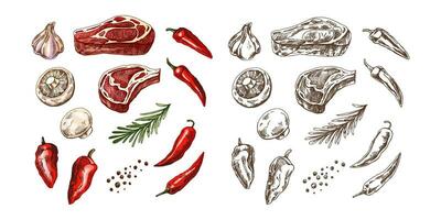 en uppsättning av ritad för hand färgad och svartvit skisser av utegrill element. för design av de meny, grillad mat. bitar av kött och grönsaker med kryddor. vektor