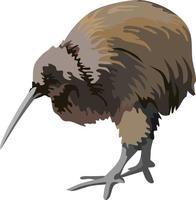 Kiwi-Vogel-Tier-Vektor vektor