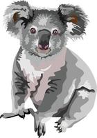 koala säugetier tier vektor
